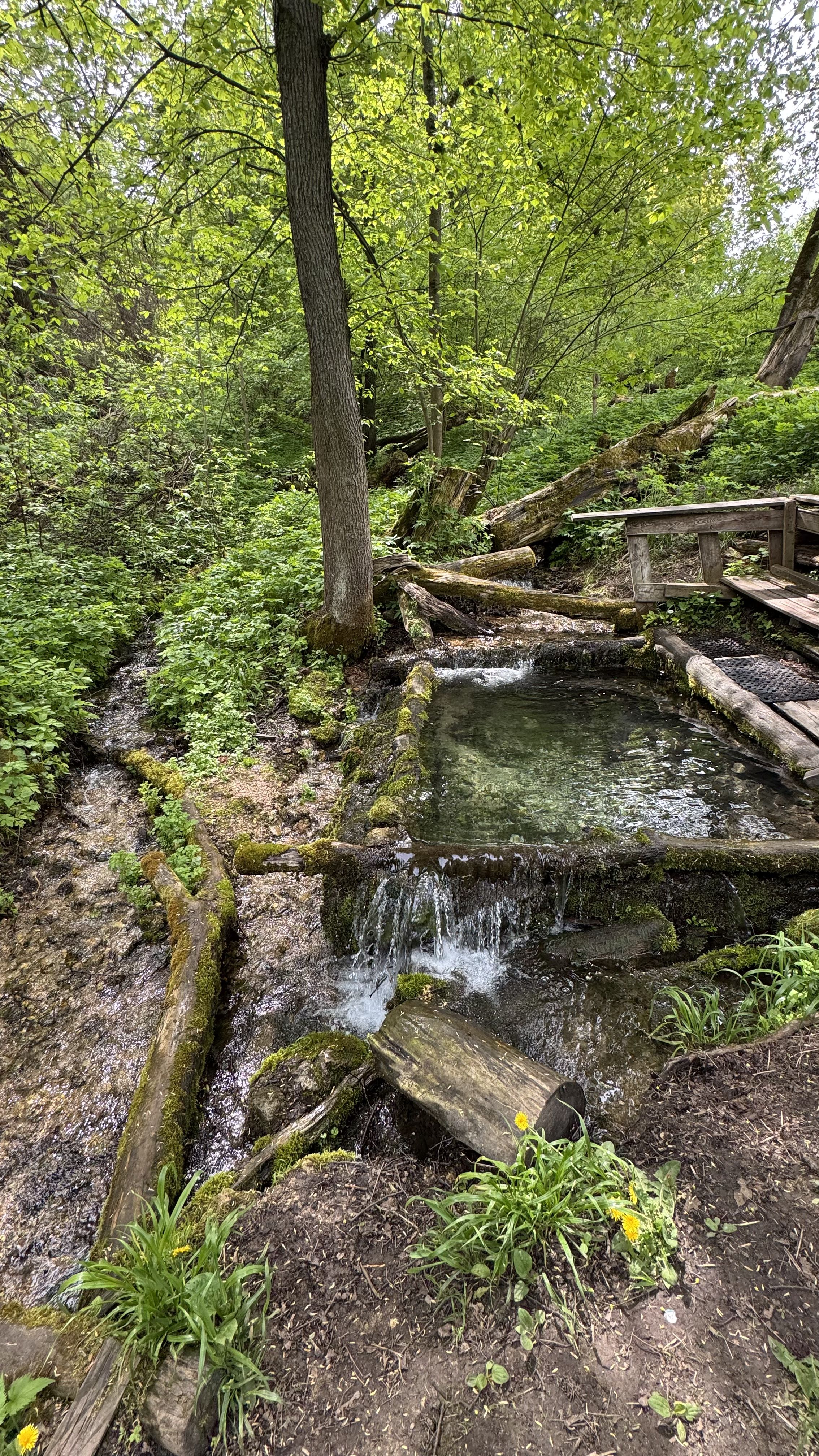 11 Поход с купанием «Пущинская экотропа», Серпухов